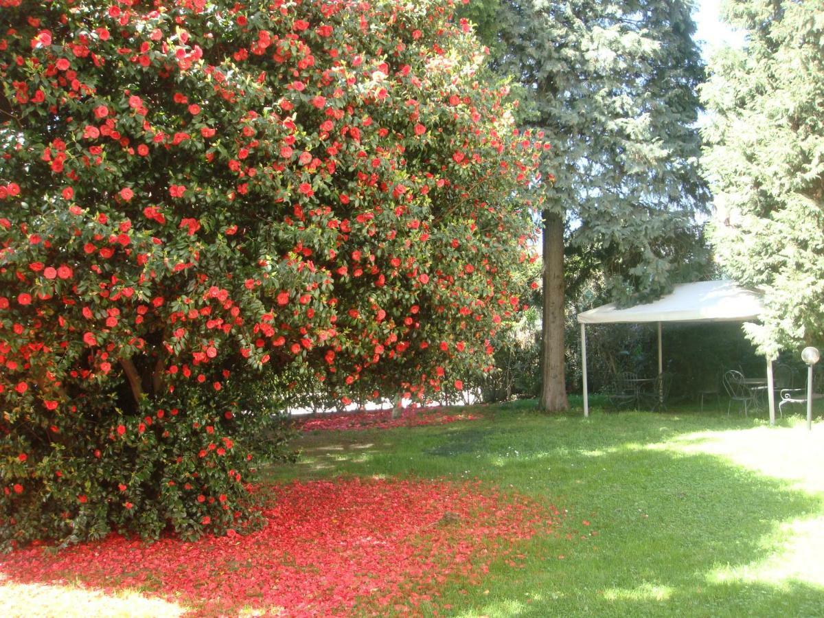 Villa Cardano Maccagno Esterno foto